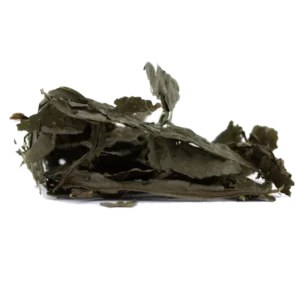 salvia dried leaves