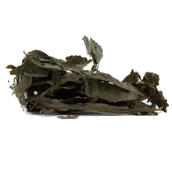 salvia dried leaves